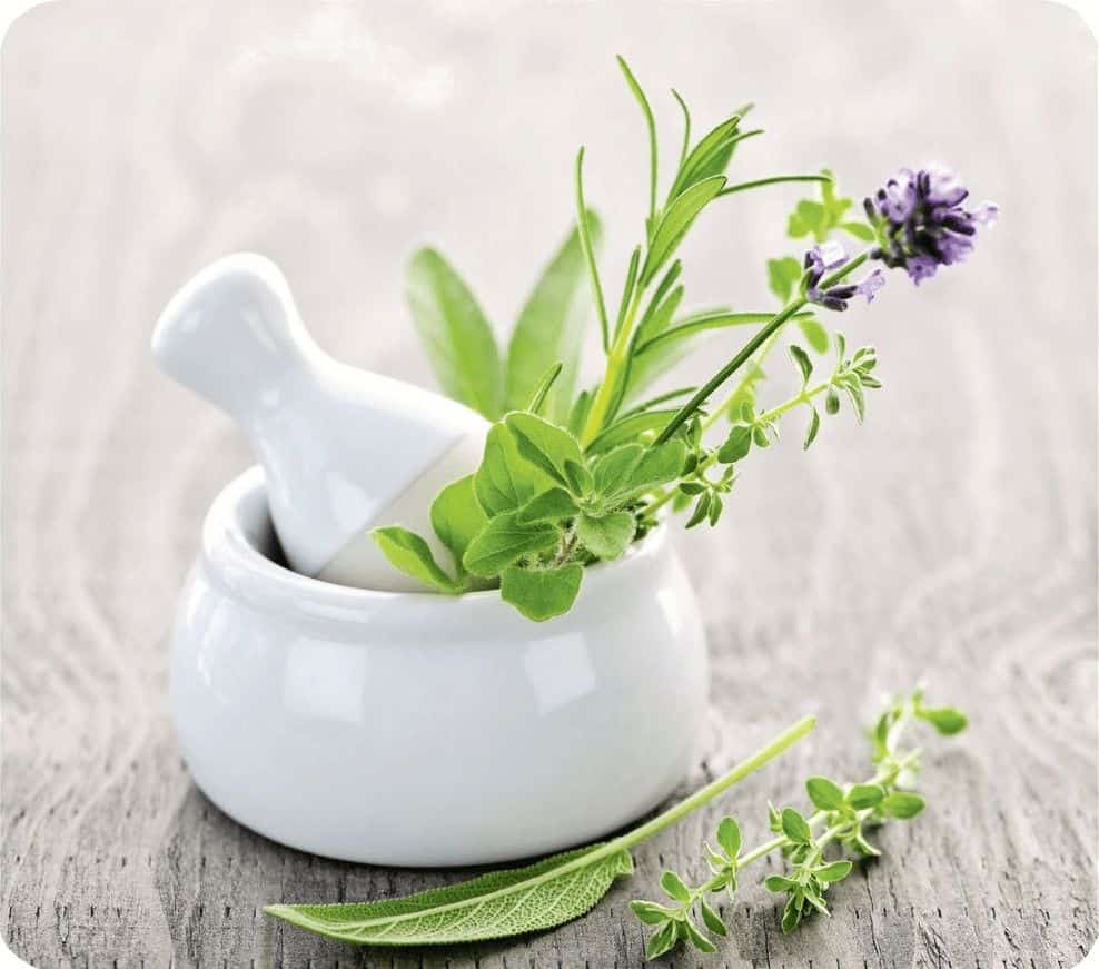 تصویر 4 از خرید و قیمت گلیسیرین گیاهی + فروش عمده